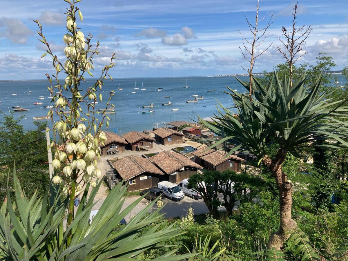 Village Seasonova Bassin D'Arcachon Оданж Экстерьер фото